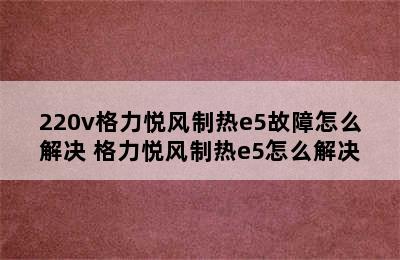 220v格力悦风制热e5故障怎么解决 格力悦风制热e5怎么解决